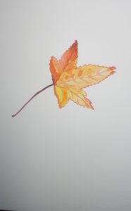 Watercolour Leaf